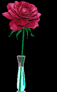 Romance, red rose with a love letter