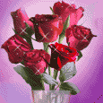 Romance, 7 red roses in a glass vase.